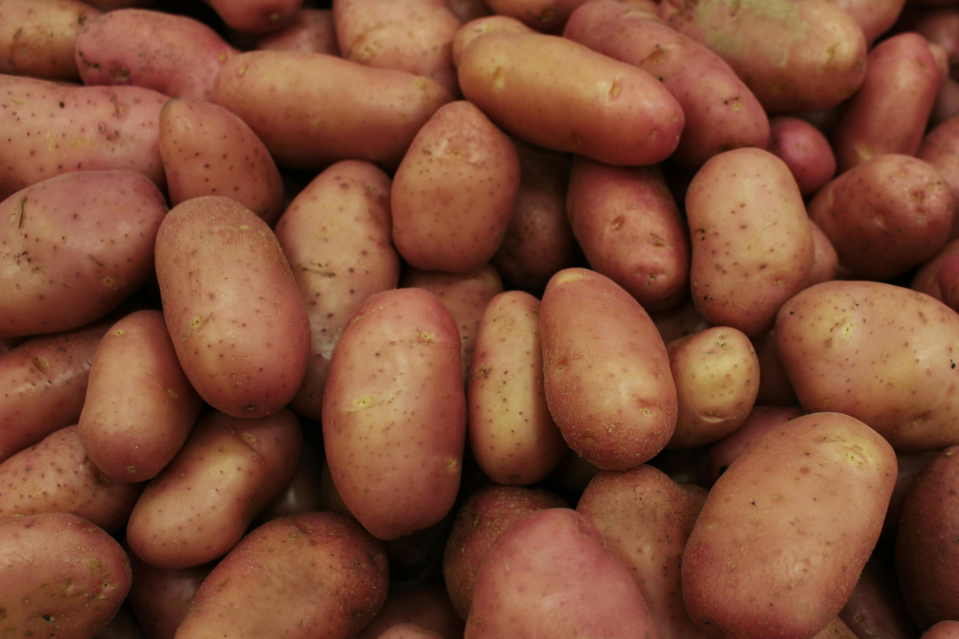 Fresh Potatoes